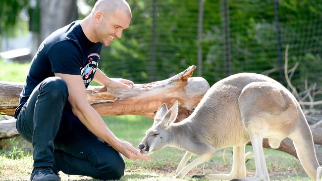 Frankie Kazarian feeds a kangaroo on his journey to “International Assault: Defend and Destroy” Picture: Naomi Jellicoe