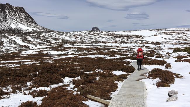 Snow-covered Tasmanian Overland Track with a hiker. Photo: Tourism Tasmania