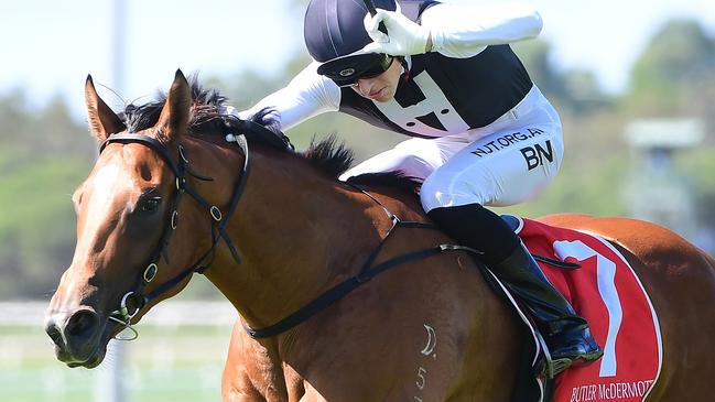 Isotope winning at the Sunshine Coast. Picture: Trackside Photography