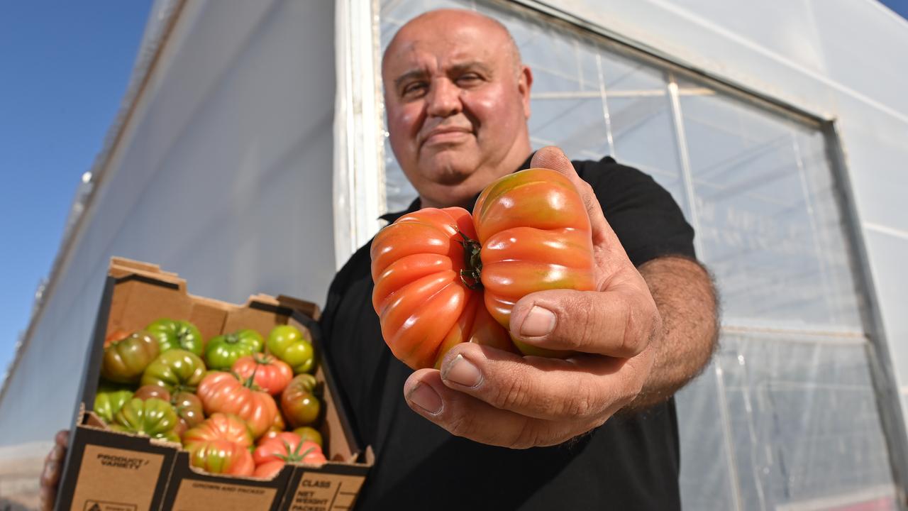 Da’Salvatore owner Tony Sacca will send tomatoes into Queensland after being locked out. Picture: Keryn Stevens