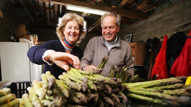 Retirees Annie and David Johnston at their asparagus farm in Hayes. The duo have been selling their asparagus at Farm Gate market since 2015. Picture: ZAK SIMMONDS