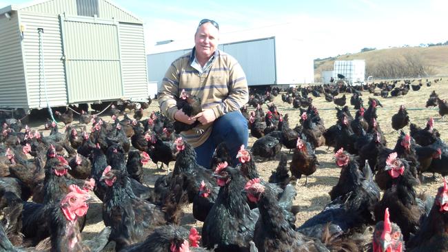 Taking the lead: Michael Fitzgerald is manager of the Mulloon Creek Natural Farms’ free-range chicken operation, near Bungendore, NSW. Picture: Sarah Hudson