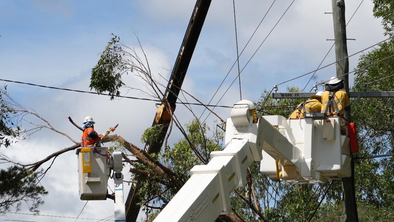 Energex workers cutting tree branches on the Gold Coast after Cyclone Alfred.