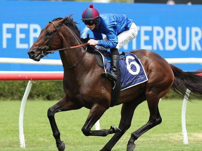 SYDNEY, AUSTRALIA - FEBRUARY 08: James McDonald riding Broadsiding participates in an exhibition gallop after Race 3 during Sydney Racing at Royal Randwick Racecourse on February 08, 2025 in Sydney, Australia. (Photo by Jeremy Ng/Getty Images)