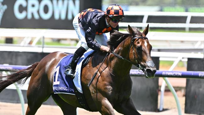 Handy sprinter Midtown Boss has been kept on the fresh side for his latest assignment at Caulfield on Saturday. Picture: Getty Images