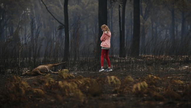 A young girl looks at the burnt body of dead kangaroo while walking her dog in Mallacoota. Picture: David Caird