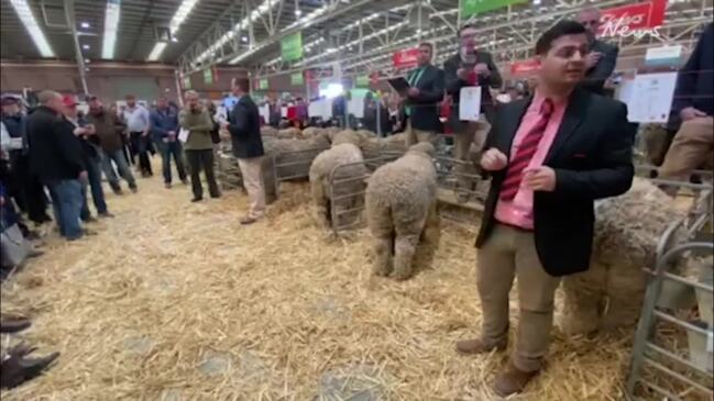 National Sheep and Wool Show atmosphere