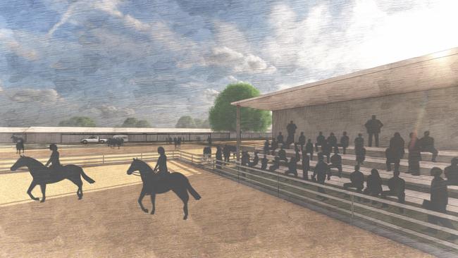 An artist's impression of the Hawthorne Rodeo Park masterplan. Photo: Clarence Valley Council