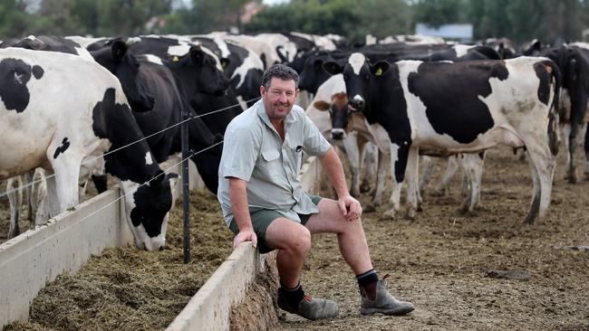 Dairy farmer John Keely on his property at Cohuna in Victoria yesterday: ‘Dollar-a-litre milk never should have existed in the first place’. Picture: David Geraghty