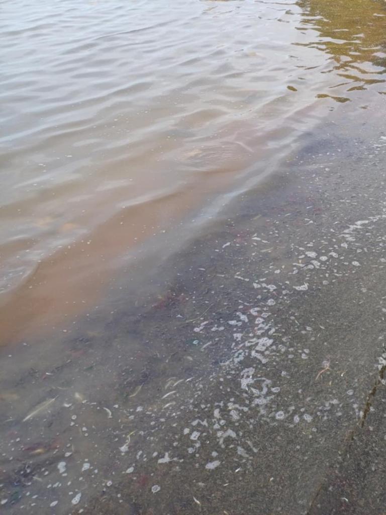 Water discolouration after last week’s storm-tide impacted the North Lagoon of the Coorong, between Seven Mile and Sam’s Island. Picture: Supplied