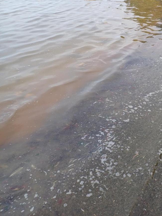 Water discolouration after last week’s storm-tide impacted the North Lagoon of the Coorong, between Seven Mile and Sam’s Island. Picture: Supplied