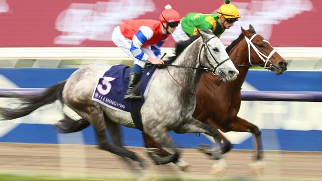 Ethan Brown cruised to victory on Berkshire Breeze in the Banjo Paterson Series Final at Flemington. Picture: Vince Caligiuri / Getty Images