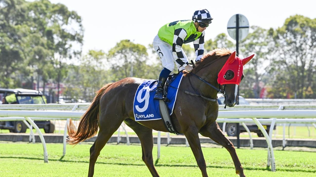 She Rex heads a trio of runners for Ciaron Maher in Race 3 at Randwick-Kensington on Wednesday. Picture: Bradley Photos