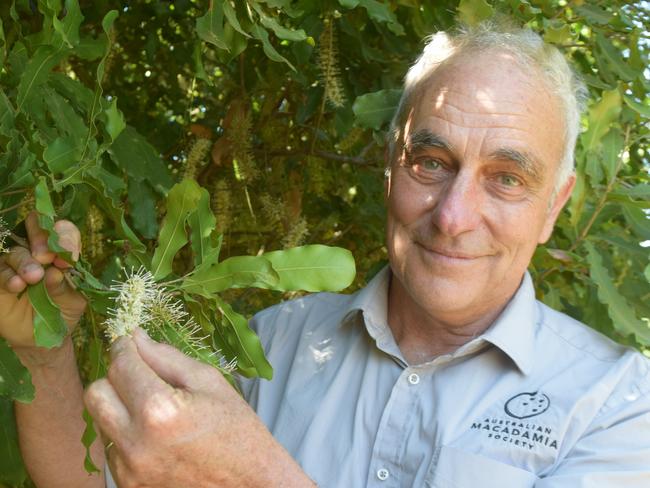 Australian Macadamia Society CEO Jolyon Burnett on a tour of an Oakenden macadamia orchard. Photo: Zizi Averill