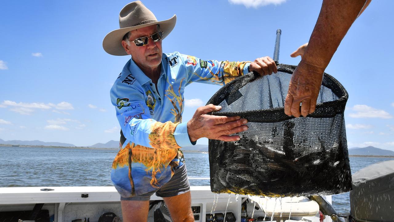 Ray Jorgensen picks up his load of barramundi to take them out to their new home at Kinchant Dam.