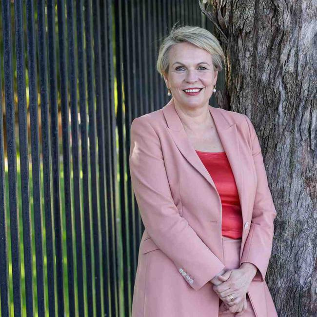 Labor's education spokeswoman Tanya Plibersek. Picture: Colin Murty