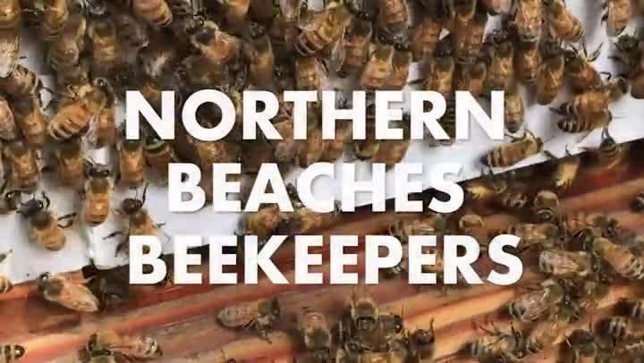 Beekeeping with Northern Beaches Beekeepers!