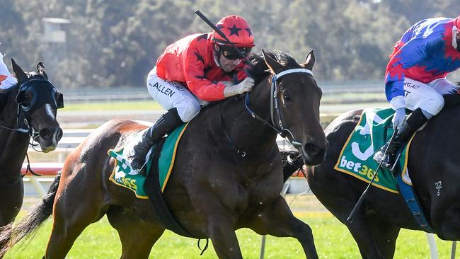 Delta Tango found winning form last start. Picture: Racing Photos via Getty Images