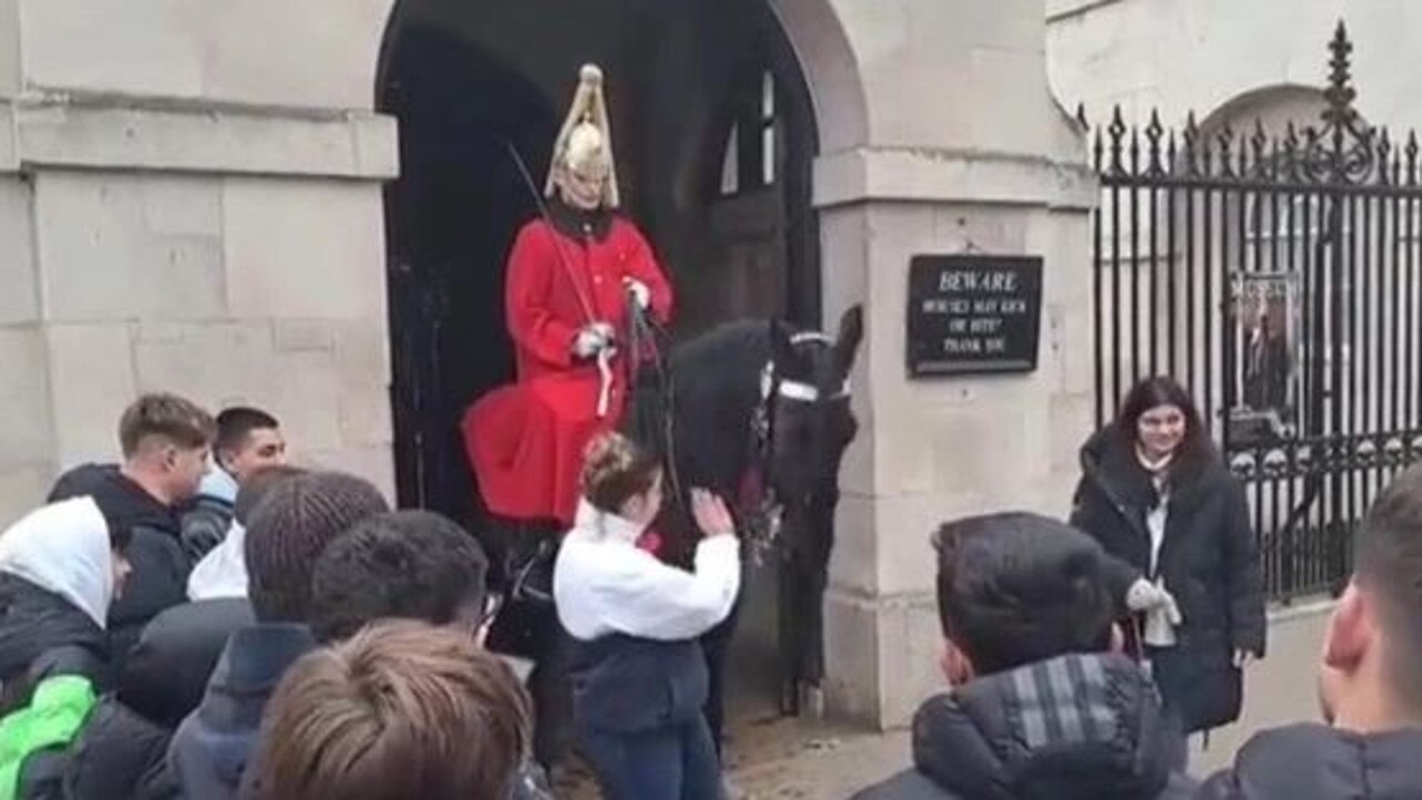 A King’s Guard yelled at a tourist for hitting his horse three times.