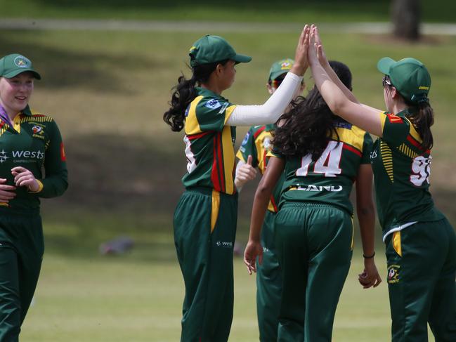 Campbelltown Camden enjoy another wicket. Picture Warren Gannon Photography