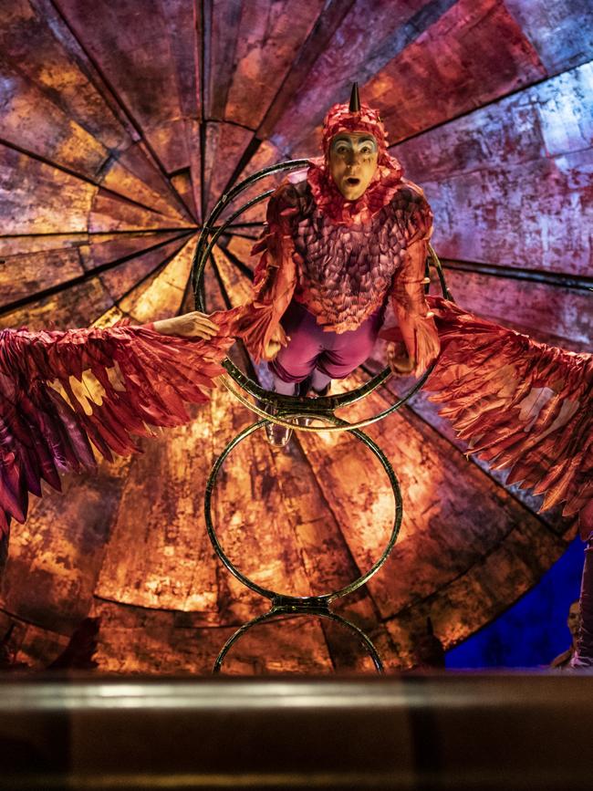 Hoop diving act with Australian artist Nelson Smyles. Picture: Anne Colliard