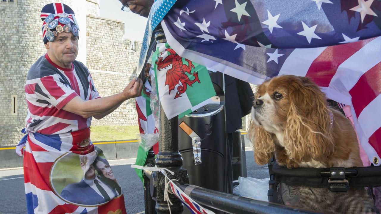 Royal superfan John Loughrey, with company from Camilla the dog, prepares flags and posters in celebration of the royal christening of Archie.