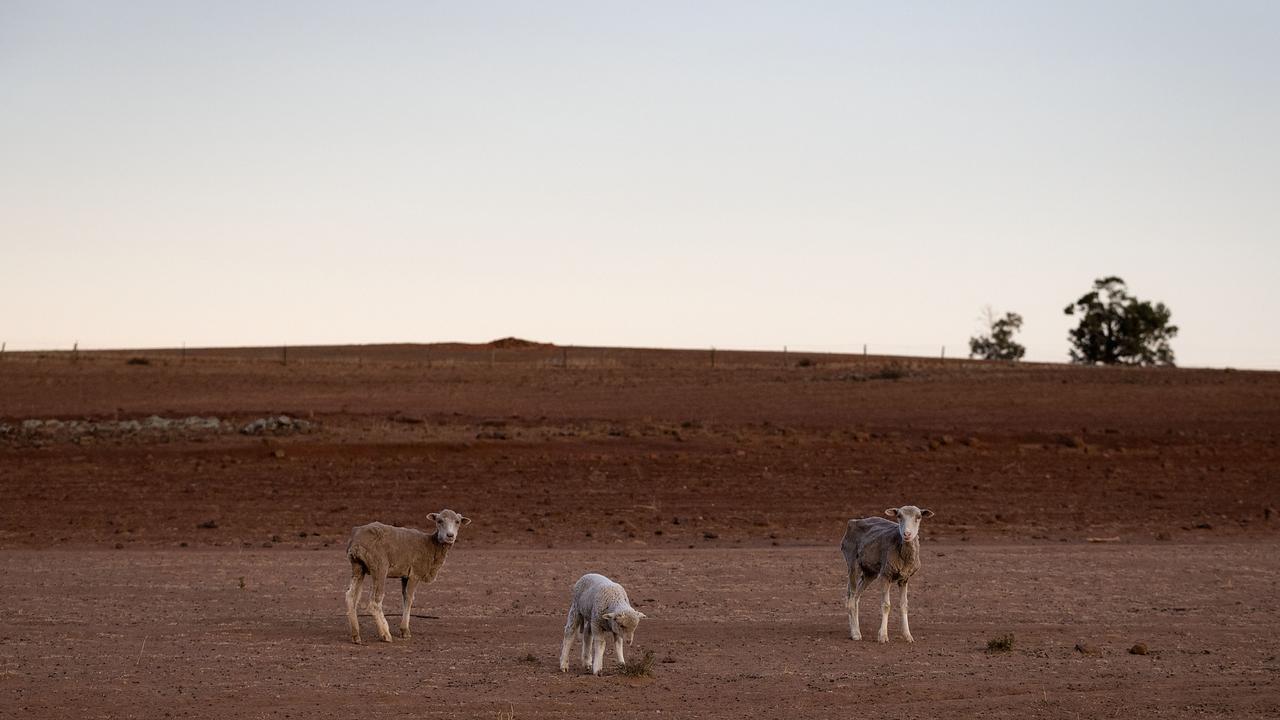 January 2017 to December 2019 was the driest on record for a 36-month period in Australia. Now, a dry El-Nino weather pattern could hit in spring. Picture: Brook Mitchell/Getty Images