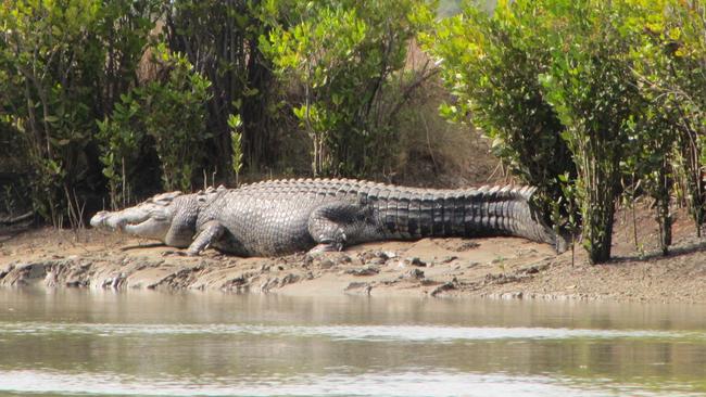 Crocs river cheap