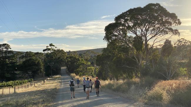 Hikers walk along the soon to be officially opened Clare Valley Wine and Wilderness Trail. Picture: Supplied