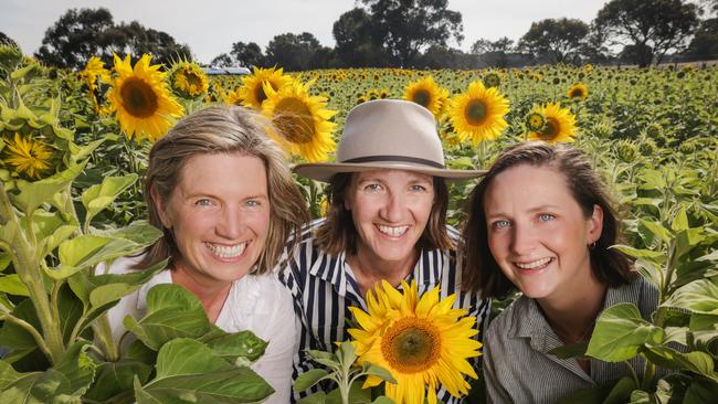 L-R: Anna Jenkins, Abbey Galbraith and Amy Brady are set to start Surf Coast Sunflowers in January 2024. Picture: Nicole Cleary