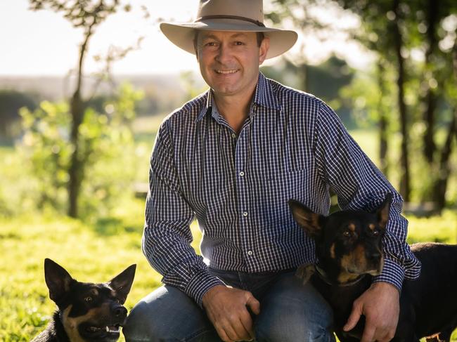 Glen Bowman, of Bowman Performance Genetics, with working dogs Finch and Cooper at Rosedale.