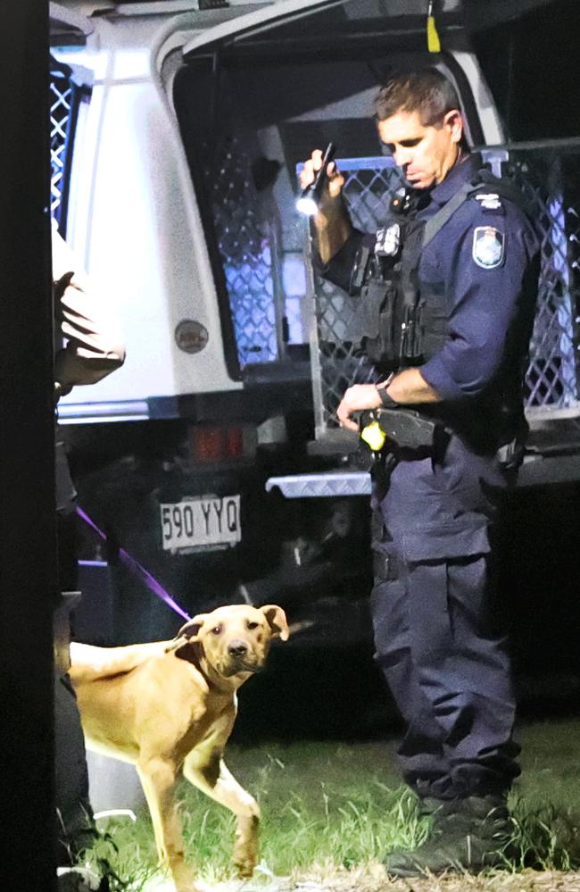 A dog is removed from the scene at Yatala. Picture: Nigel Hallett