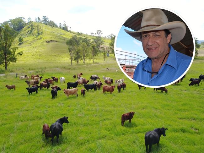 Beef production David Scarrabelotti Focus