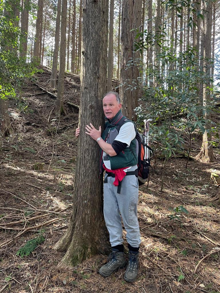 Hakone trail guide – and frequent tree hugger – Tony. Picture: News.com.au