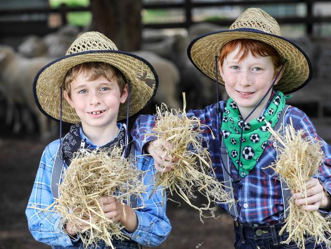 ADV SSS NEWSBrothers Toby and Ethan Hall held a fundraiser last year and contributed almost $10,000 worth of hay to farmers in need amid the drought. Photographed at Westminster College' farm, Marion. (AAP Image/Russell Millard)