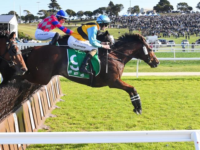 Count Zero (NZ) ridden by Darryl Horner (Jnr) clears a steeple on the way to winning the Brandt Grand Annual Steeplechase at Warrnambool Racecourse on May 02, 2024 in Warrnambool, Australia. (Photo by Pat Scala/Racing Photos via Getty Images)