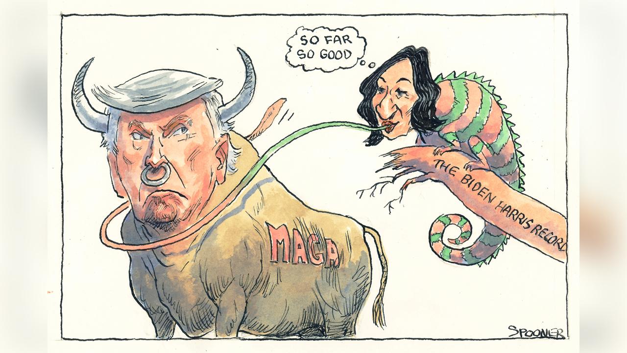 Cartoon: John Spooner