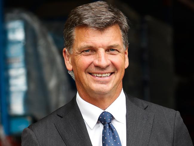 Shadow Treasurer Angus Taylor’s approach on divestiture has been credited. Picture: NewsWire/ Gaye Gerard