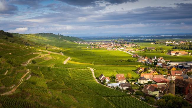 A picturesque view of Kaysersberg in summertime, featuring lush vineyards and sprawling farmland, France.