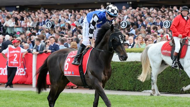 Gold Trip (FR) on the way to the barriers prior to the running of the Ladbrokes Cox Plate at Moonee Valley Racecourse on October 22, 2022 in Moonee Ponds, Australia. (Photo by George Sal/Racing Photos via Getty Images)