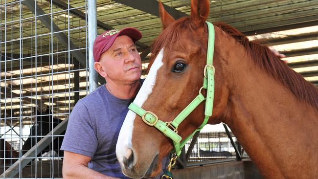 Horse trainer Greg Connor with Sweeneys Lane at Fannie Bay stables.