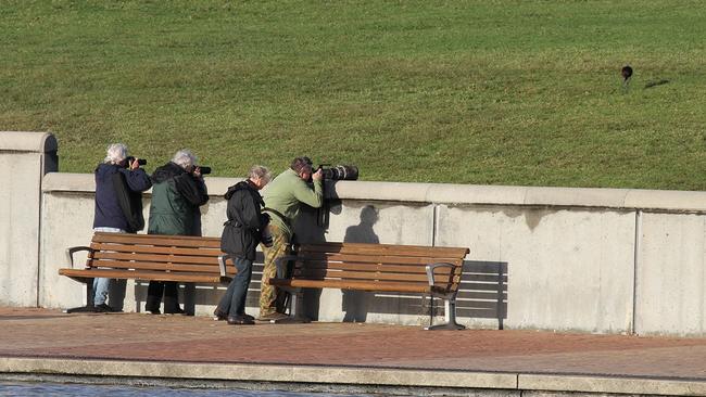 Bird watchers have hit out at the proposed relocation.