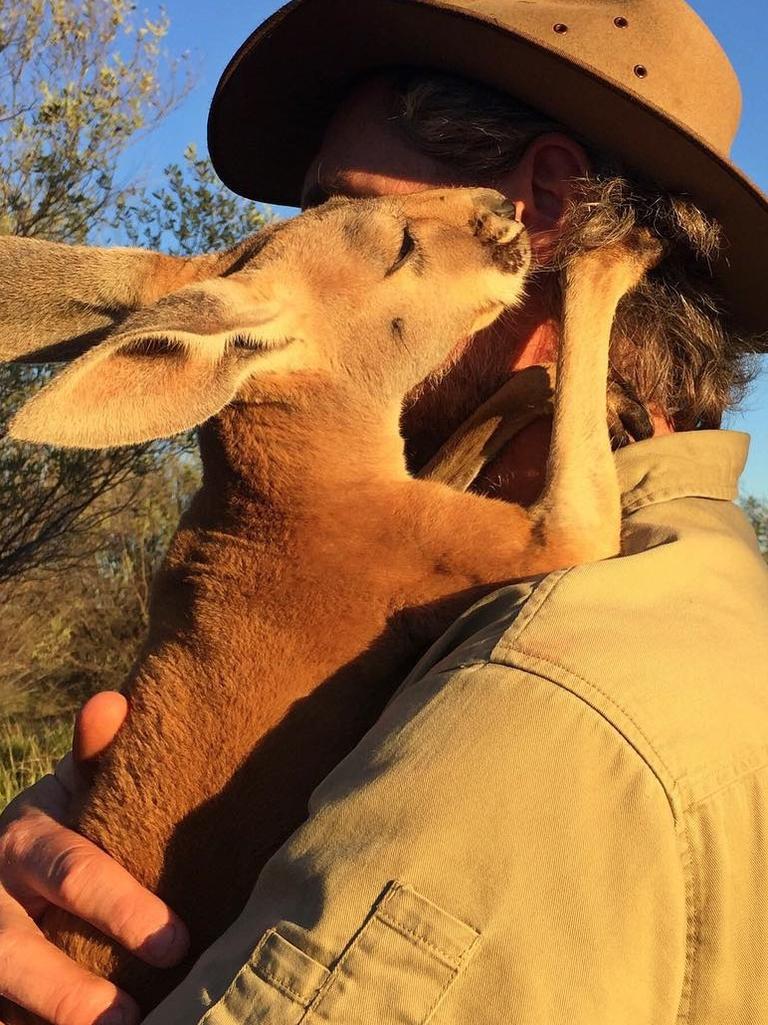 What secret is Jack whispering in my ear? Picture: <a href="https://www.instagram.com/thekangaroosanctuary/" target="_blank">@thekangaroosanctuary/Instagram</a>