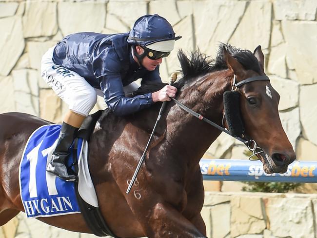 Conqueror ridden by Luke Nolen wins the Evergreen Turf Maiden Plate at Racing.com Park Synthetic Racecourse on July 09, 2019 in Pakenham, Australia. (Natasha Morello/Racing Photos via Getty Images)