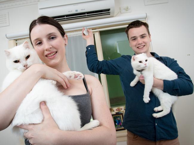 Anna Morris, 20, and fiance Ben Dawborn, 20 leave the aircon on for their cats Noodles and Snippy. Picture: Jake Nowakowski