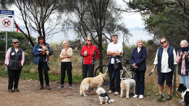 Dog owners are unhappy at a move to have fewer off-leash areas in Clarence. Picture: Nikki Davis-Jones