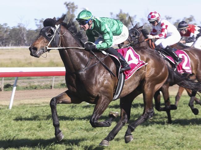 Turgenev returns for another shot at the Gilgandra Cup. Picture: Bradley Photos