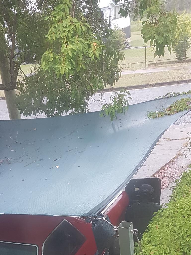 A neighbour took this picture of armed police officers during from inside his property.