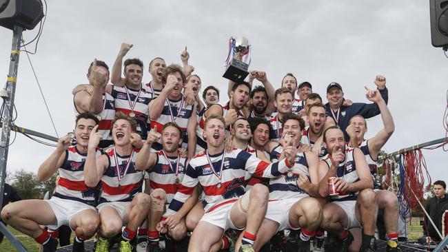 Highett lifts the premiership cup.