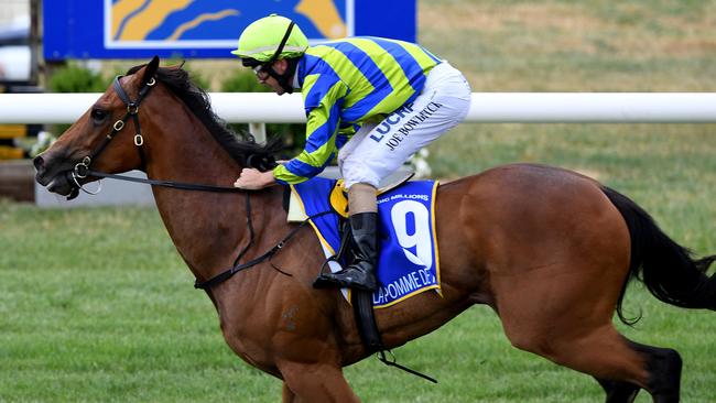 Grand Dreamer wins Ballarat Cup 2017; Robert Smerdon, Patrick Moloney ...